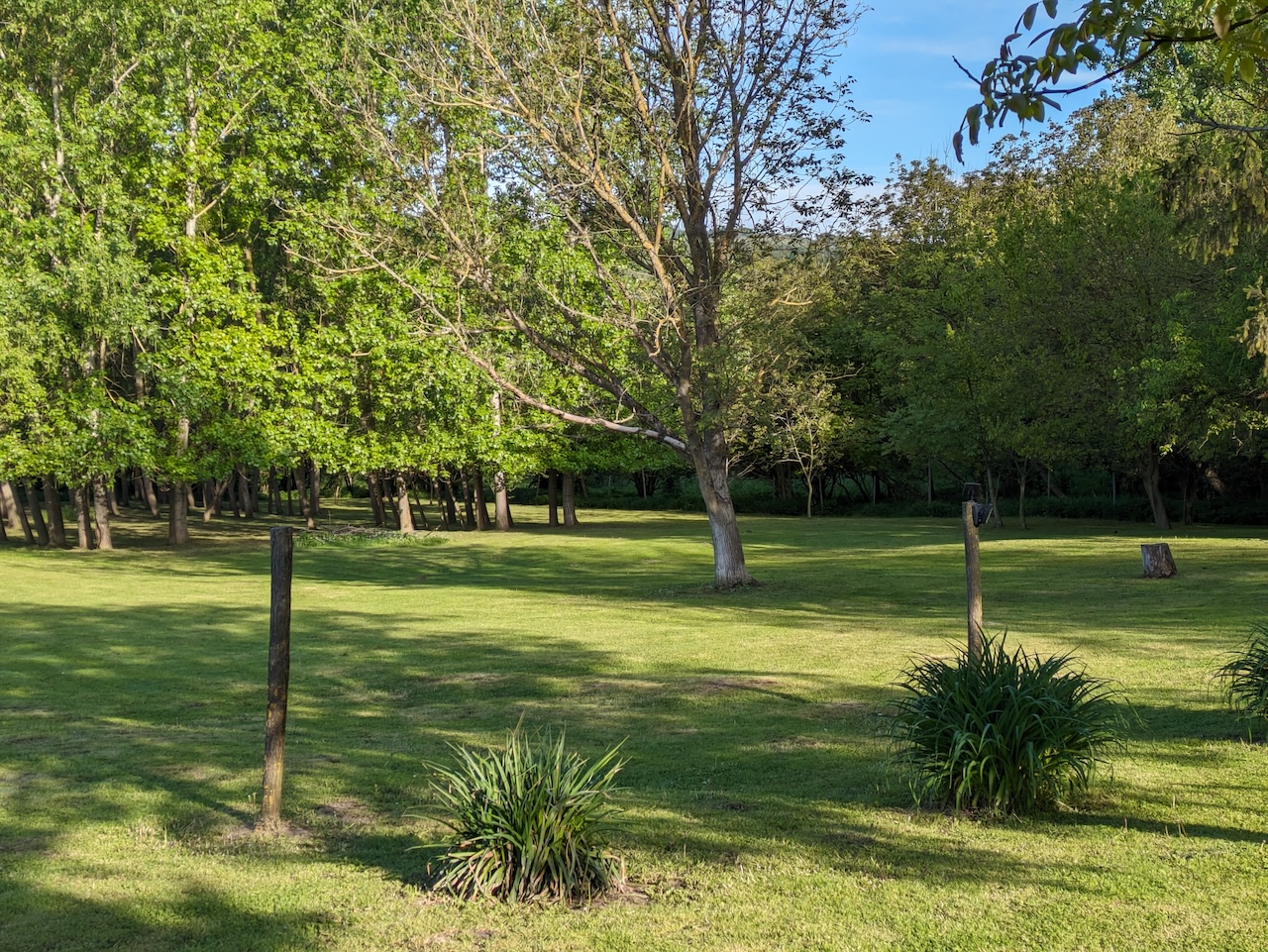 Green park-like grounds at the Gyűrűs estate